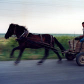 Kosloduj, Bulgarien, Juni 2000 Ein Pferdewagen auf dem Weg vom Zentrum Koslodujs zum Romaviertel Jantra